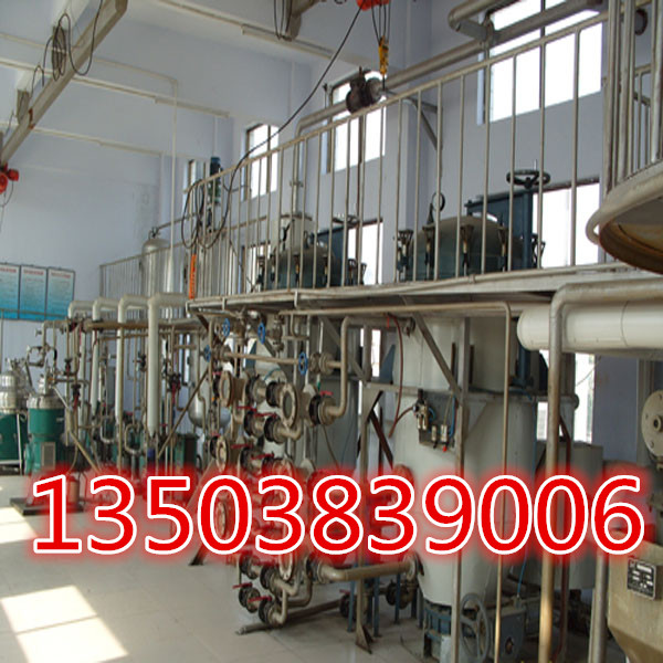 ���Z�ƴ󶹾������O��ȥ���s�|����ȫ