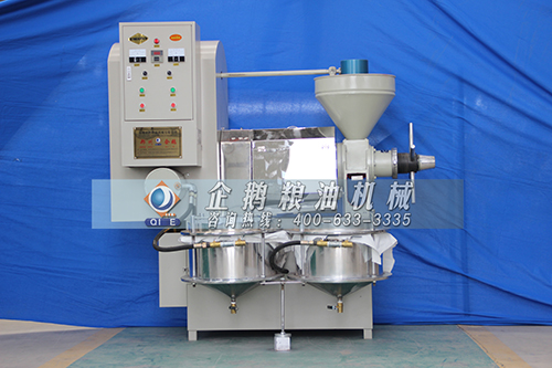 ե�������O��