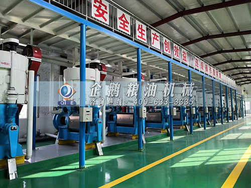 ɽ�����O��